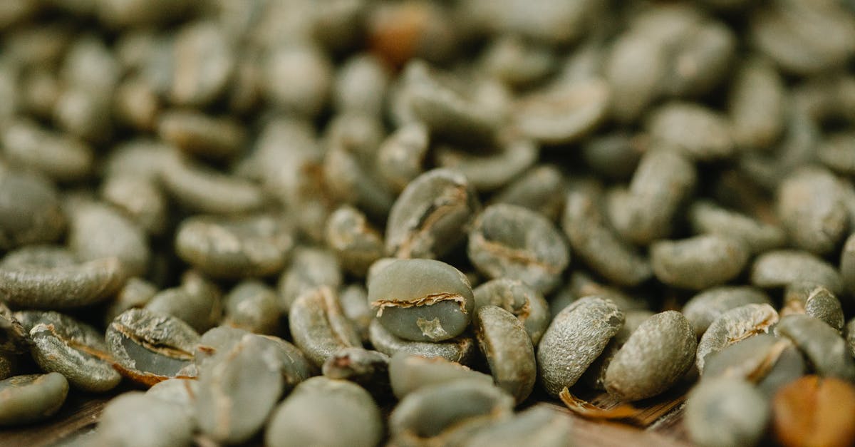 Fresh half and half curdles in hot coffee - Heap of raw coffee beans drying in daytime