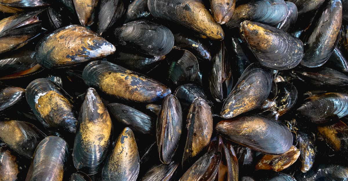 Fresh mussels, or are they? - Plenty of Black and Brown Mussels 