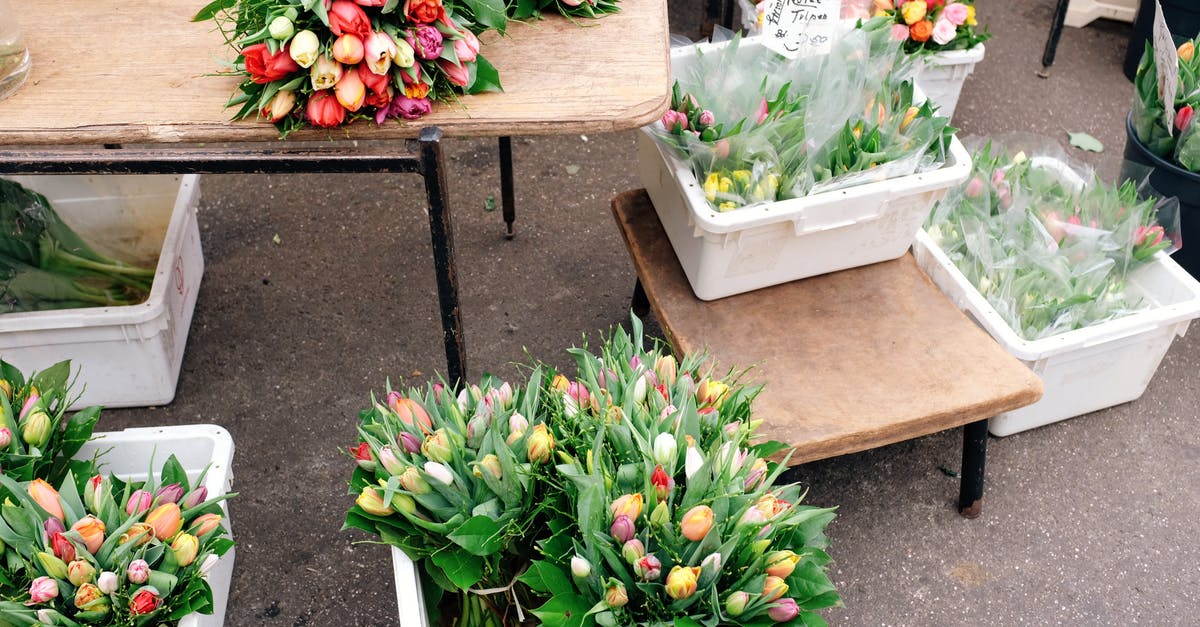 Freshly Ground Beef vs. Store Bought - From above of fresh colorful tulips placed in plastic containers on wooden table and ground on street market in city