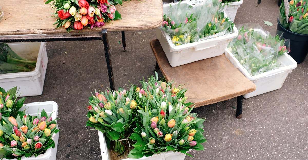 Freshly Ground Beef vs. Store Bought - From above of fresh colorful tulips placed in white plastic containers on wooden table and ground on stall in street market in city