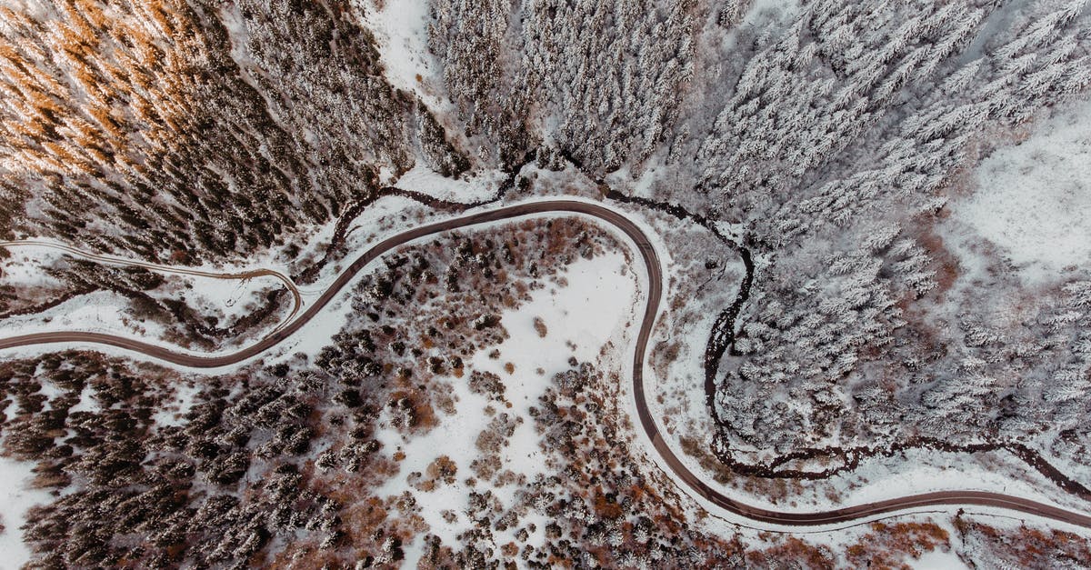 Frozen Asparagus after thawed became extremely soggy and wet, any way to salvage? - Drone view of curvy roads running through winter forest
