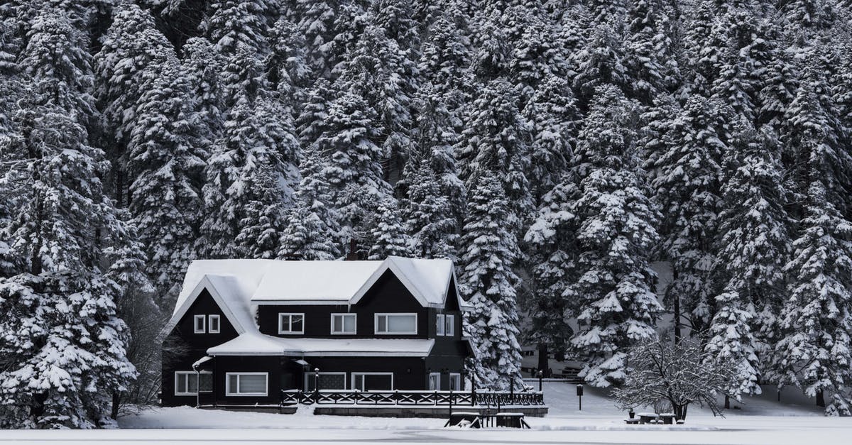 Frozen Kefir Grains Seem Dead...Any Suggestions? - Snowy House Grayscale Photo