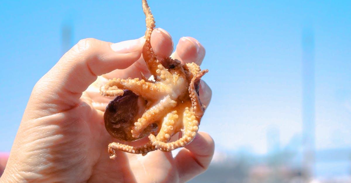 Frozen Octopus or fresh Octopus for recipes? - A Person Holding a Small Octopus