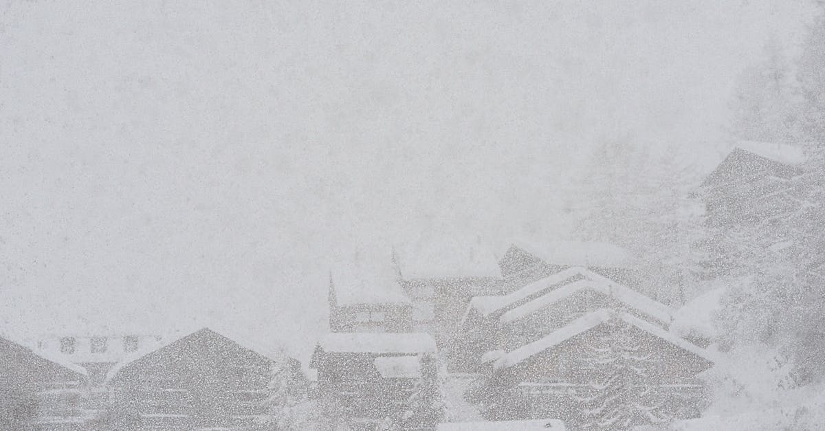 Frozen pizza - Understanding time and temperature equivalency - Severe scenery of remote rural village houses covered with thick layer of snow during intense snowstorm on cold winter day