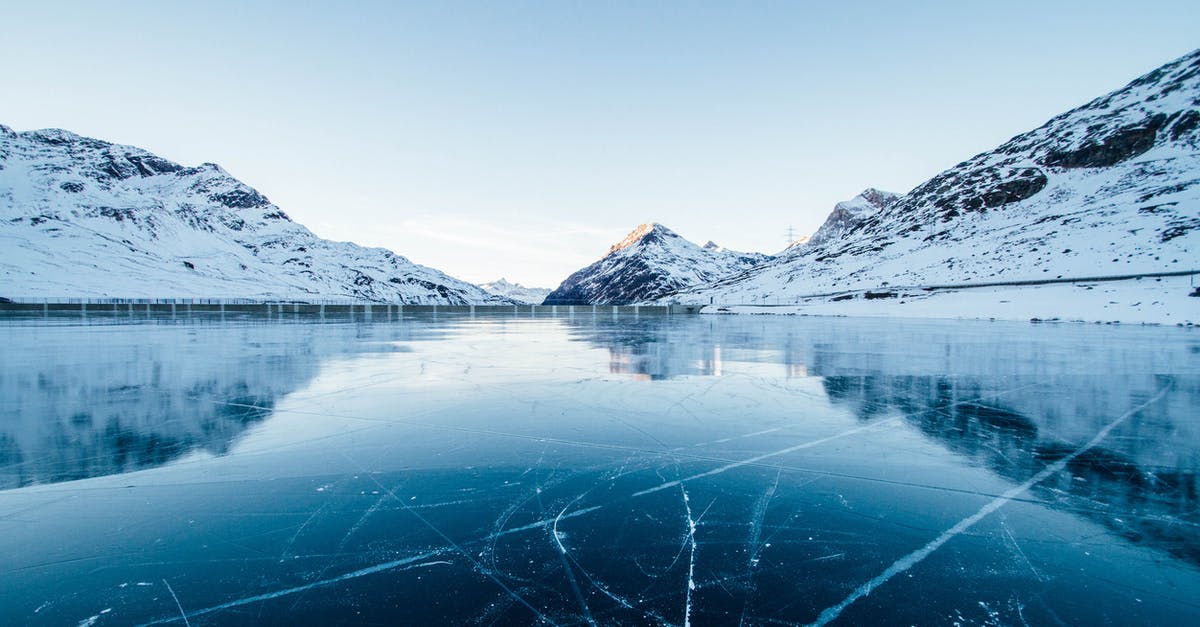 Frozen prawns - blue dye - Ice River Photography