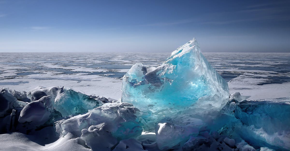 Frozen sea squirts: any suggests on cleaning/preparing? - Ice Formation