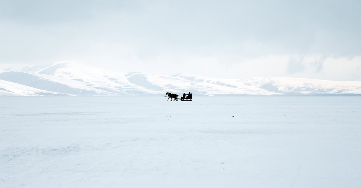 Frozen turkey breast worry -  Silhouette Of A Horse With Sled on Snow Covered Ground