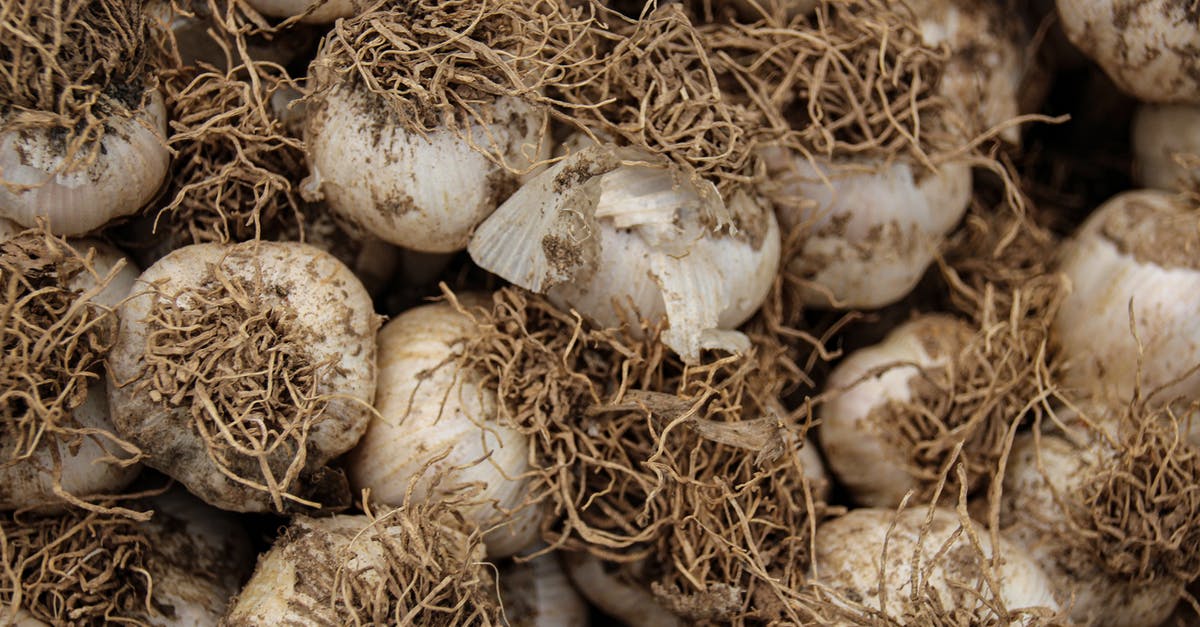 Garlic press with minimum force required - Full Shot of Fresh Garlic