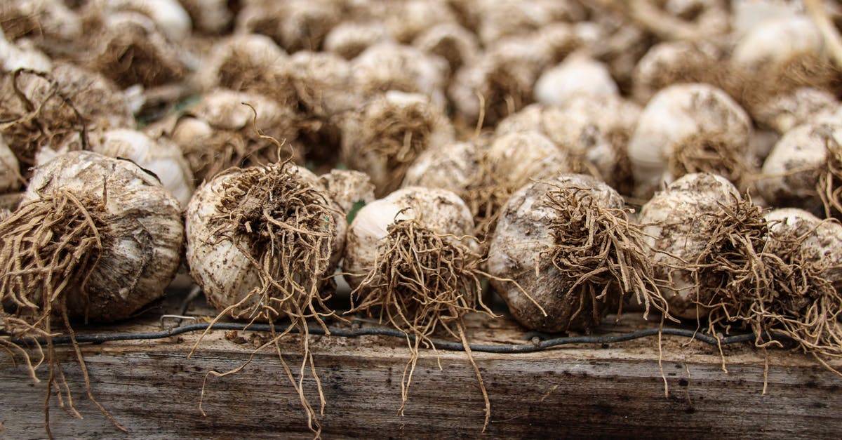 Garlic substitution in marinade/paste - Brown Round Fruits on Brown Wooden Surface