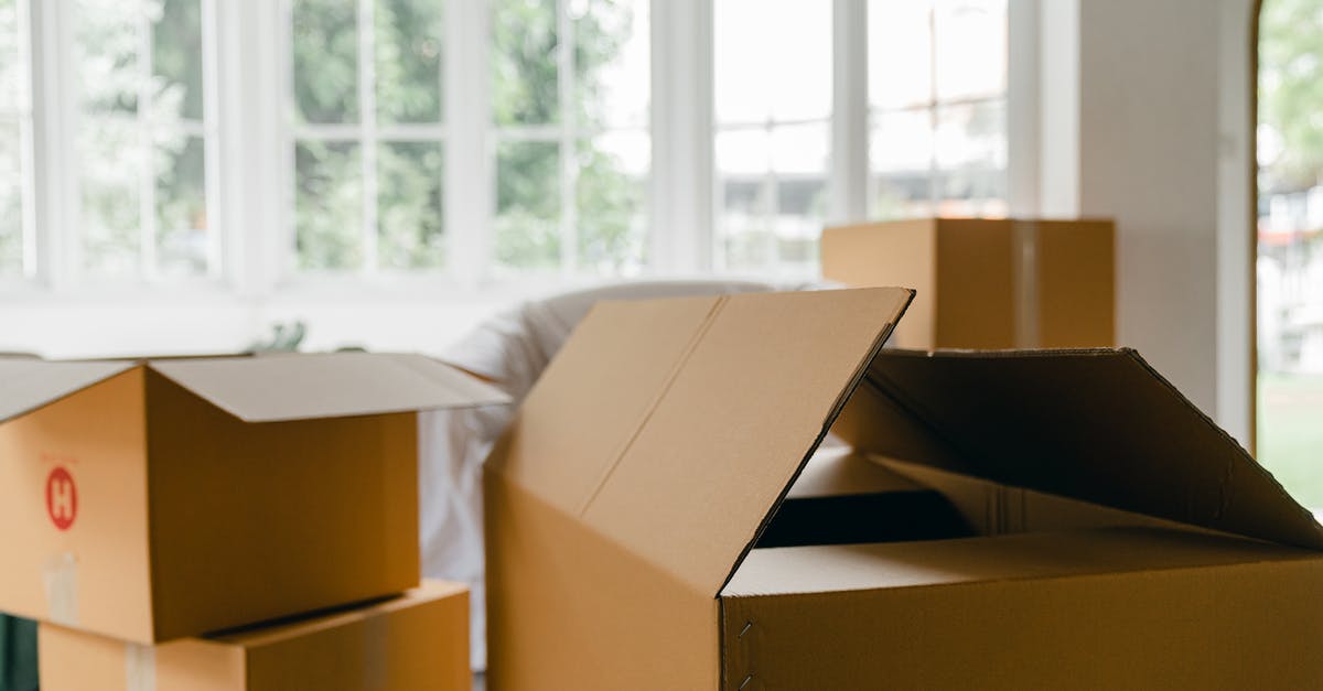 Gases used in packaging food? - Unpacked boxes in middle of room