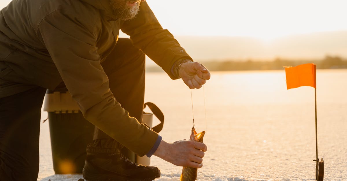 Good Frozen Fish /seafood - A Man Holding a Fish