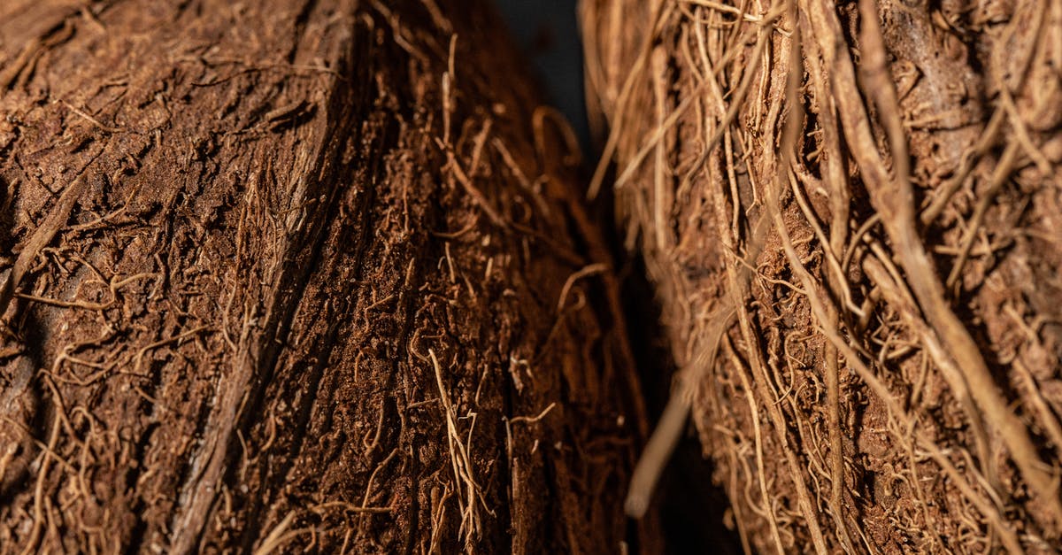 Grainy texture from creamed coconut - Close-Up Shot of Coconut Fiber