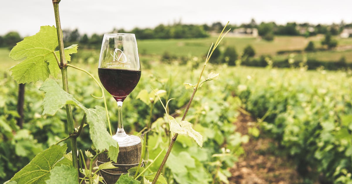 Grape vinegar vs wine vinegar - Glass Filled with Wine