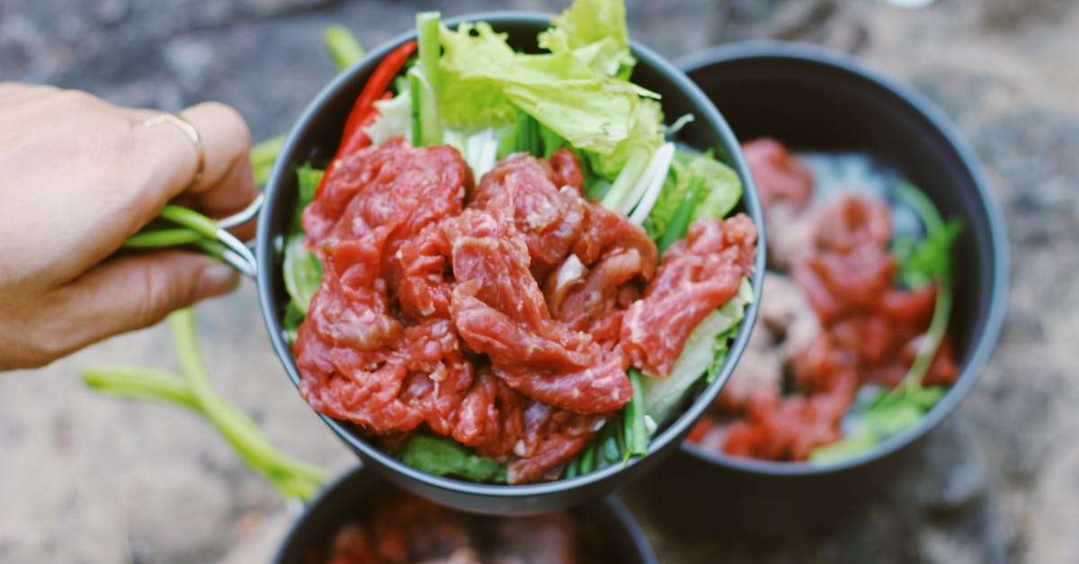 Green streaks on raw meat: is it safe? - From above of crop unrecognizable person showing small pan with fresh green salad and sliced raw beef