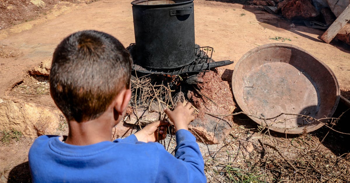 Grilling on an iron fire pit - Boy in Blue Shirt Holding Dried Twigs