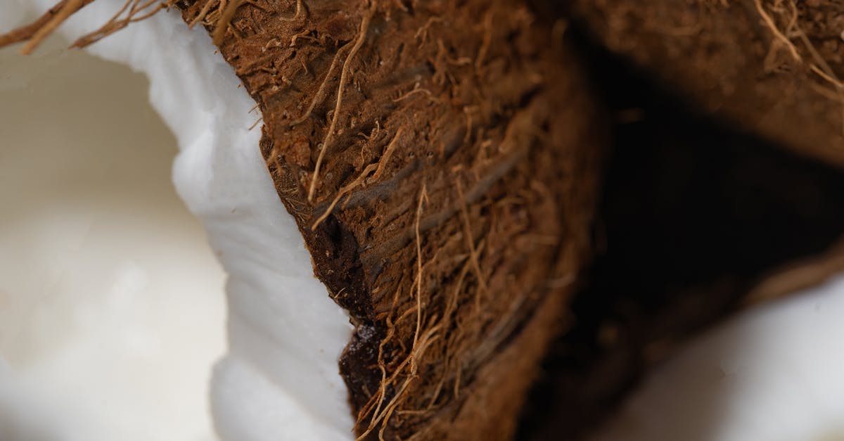 Half and half cream already curdled in a fresh carton - Brown Dried Leaves on White Snow