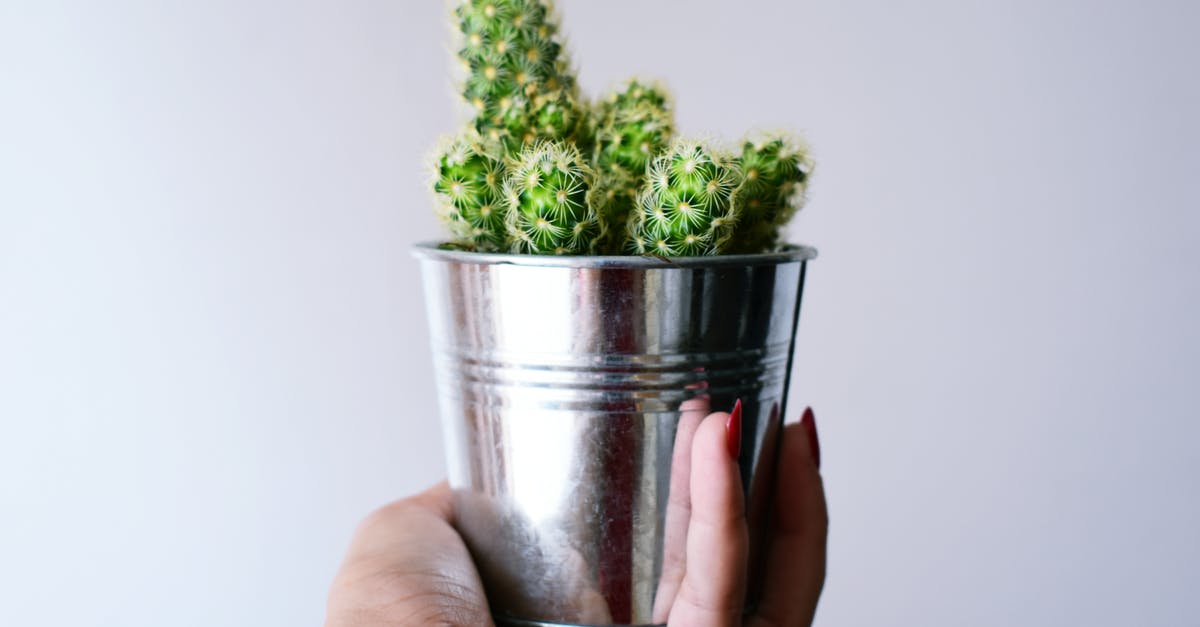 Hand operated can sealer - Person Holding Can With Cactus Plant