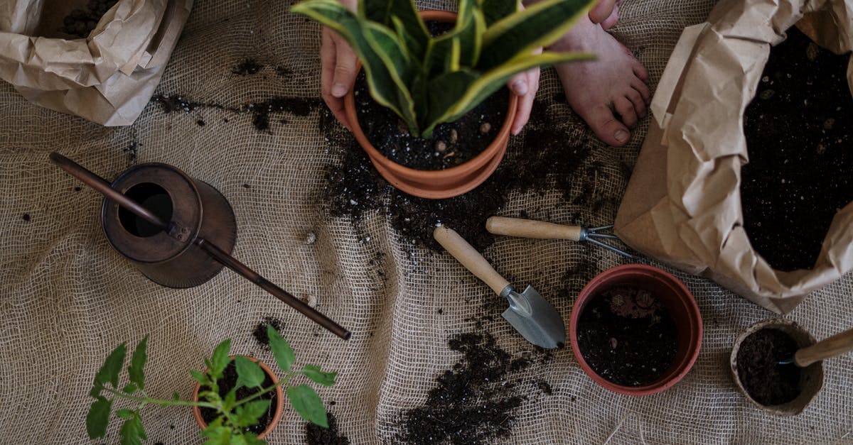 Handles on pots loosen over time - can I loctite them? - Green Plant on Brown Clay Pot