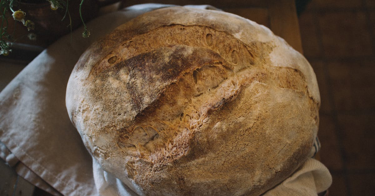 Has my sourdough gone moldy? - Brown Bread