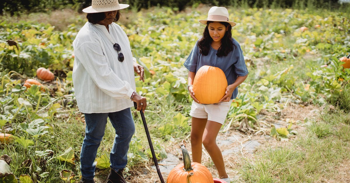 Help Identifying a pale green, spherical squash-y like vegetable - Full body of female farmer holding cart near young girl with pumpkin in rural field