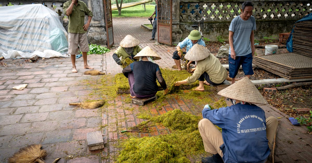 Help identifying a tea - Unrecognizable ethnic people in Vietnamese hats placing ground green tea foliage on tray before drying process