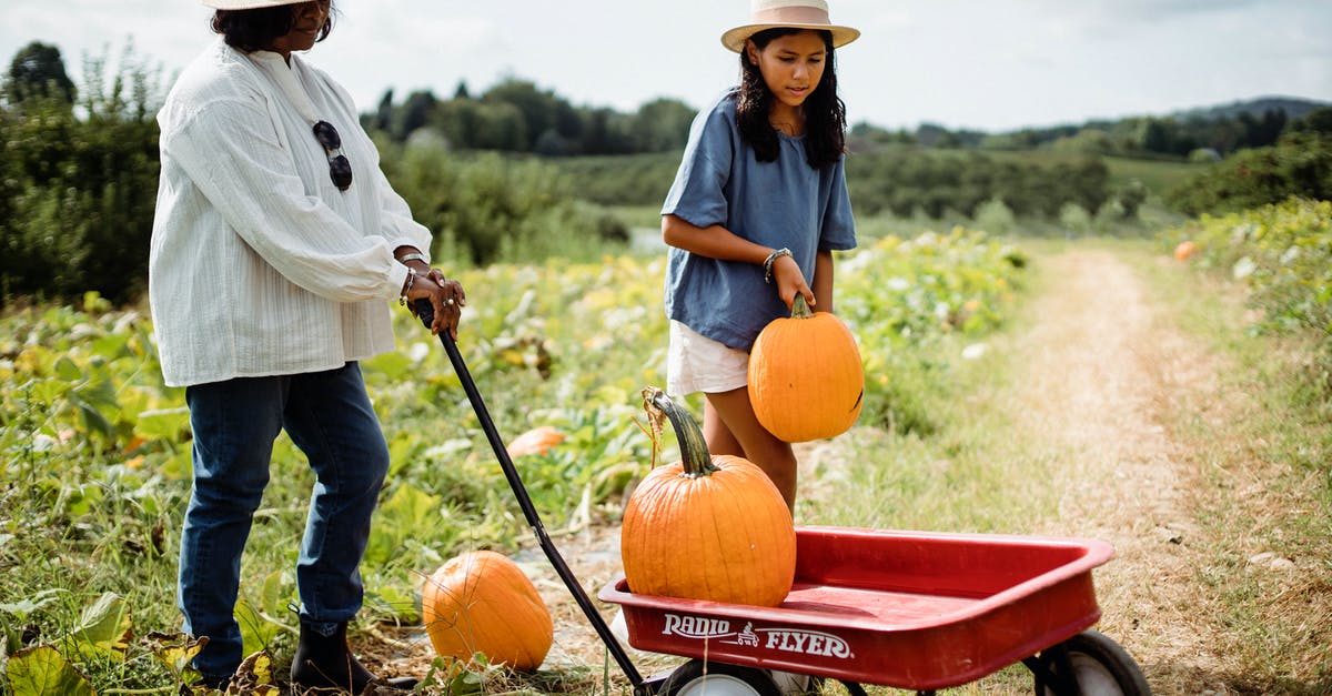 Help identifying squash - Hispanic woman with daughter in pumpkin field