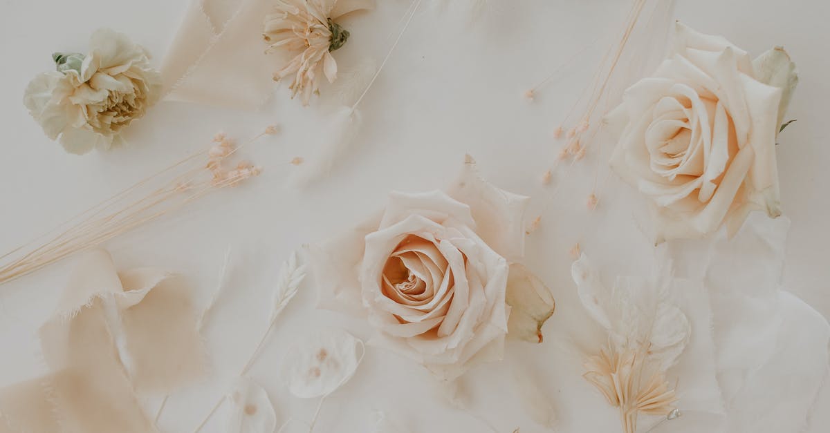 Herbs in Dressing - Fresh vs Dried [duplicate] - Delicate buds of roses attached to white wall with thin twigs and ribbon