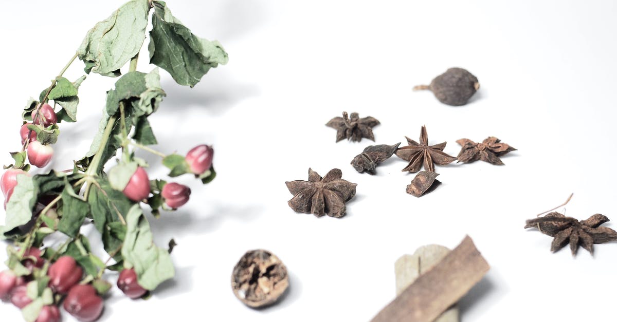 Herbs in Dressing - Fresh vs Dried [duplicate] - From above of cinnamon with nutmeg near anise and hypericum with dried green leaves on stems on white background