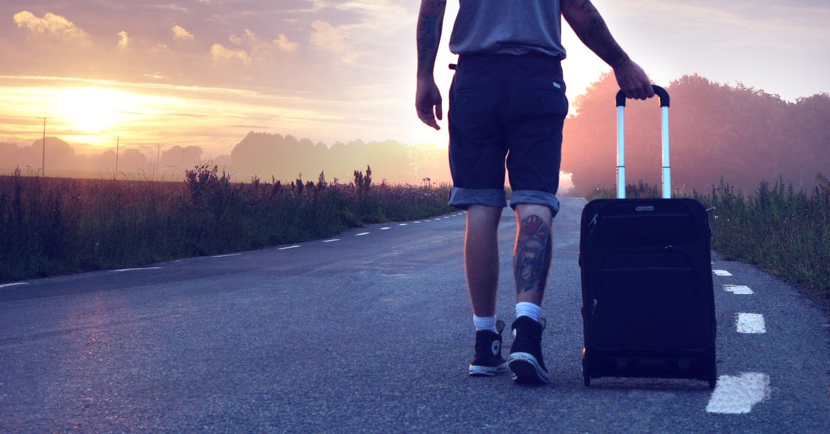 hollandaise cooked all the way - Man With Luggage on Road during Sunset