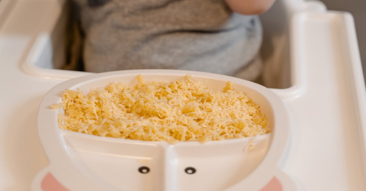 Home made Rice Milk that's not slimy or chalky? - Person Holding White Ceramic Bowl With Yellow Rice