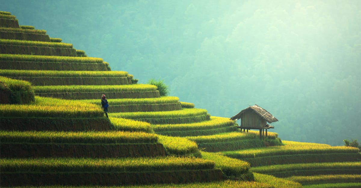 Home made Rice Milk that's not slimy or chalky? - Person Standing on Terraces