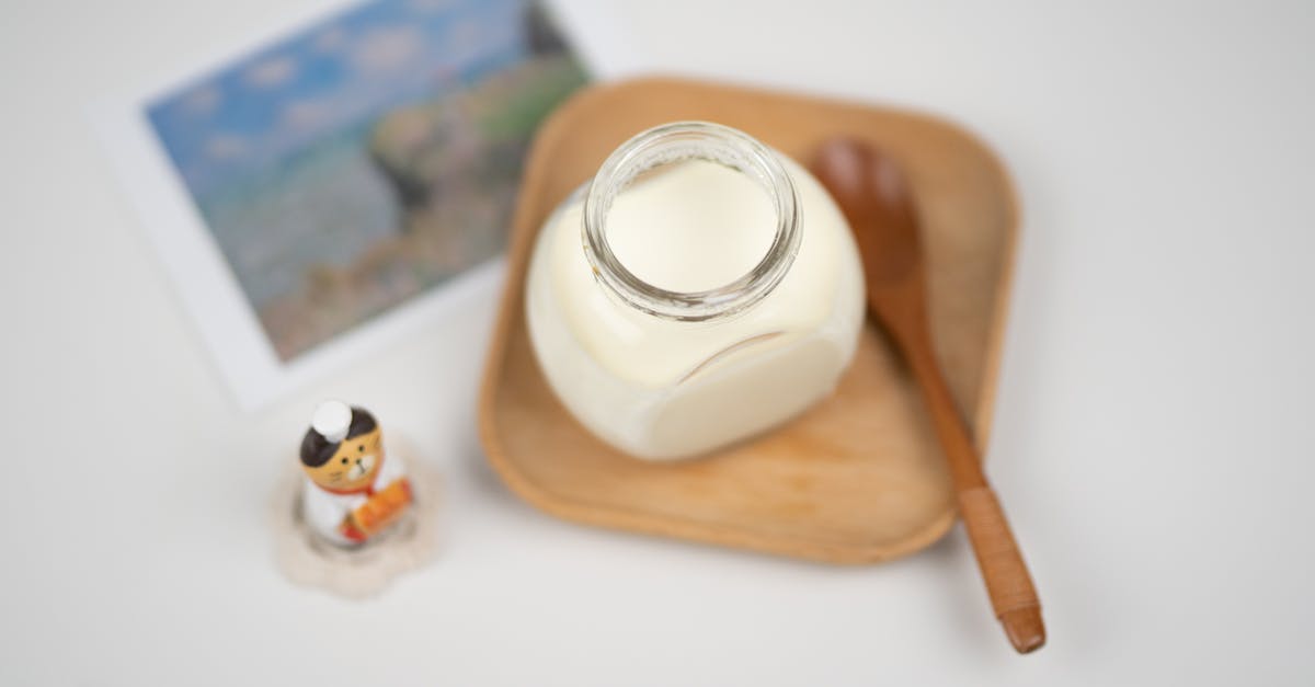 Homemade plain yogurt - From above arrangement of fresh milk yogurt in glass jar placed on wooden saucer near funny cat figurine and blurred photo of nature