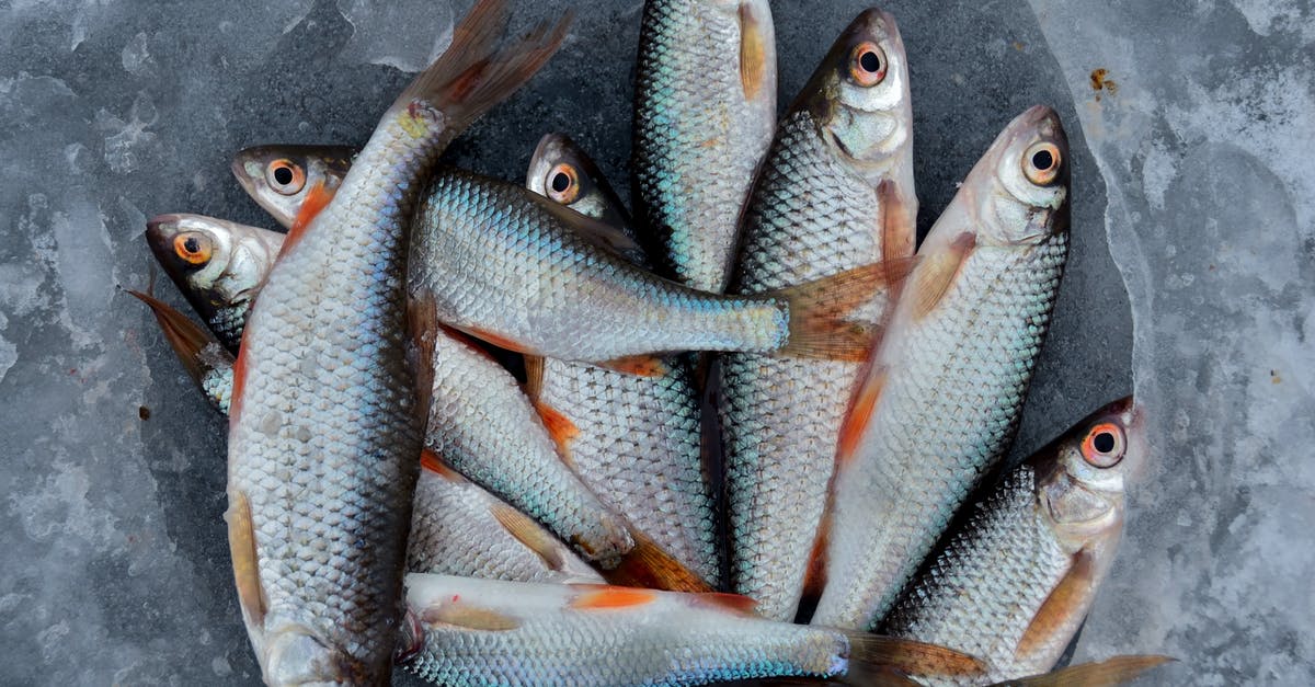 How are fresh fish shipped across continents? - Fish Catch