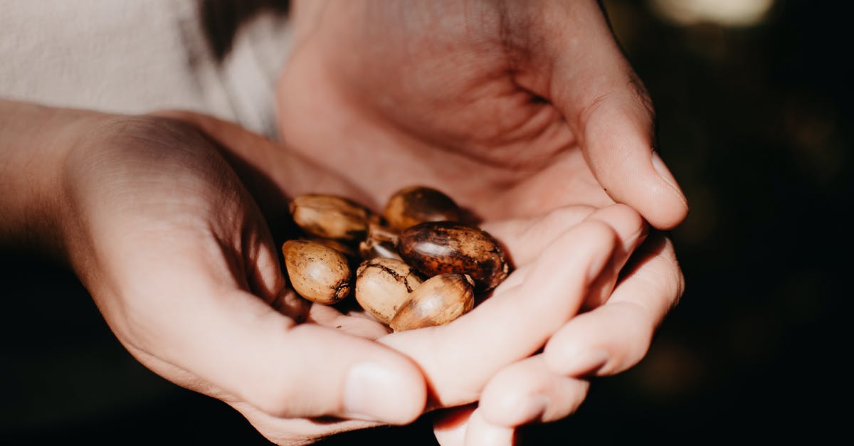 How are wasabi nuts made? - Person Holding White and Brown Stones