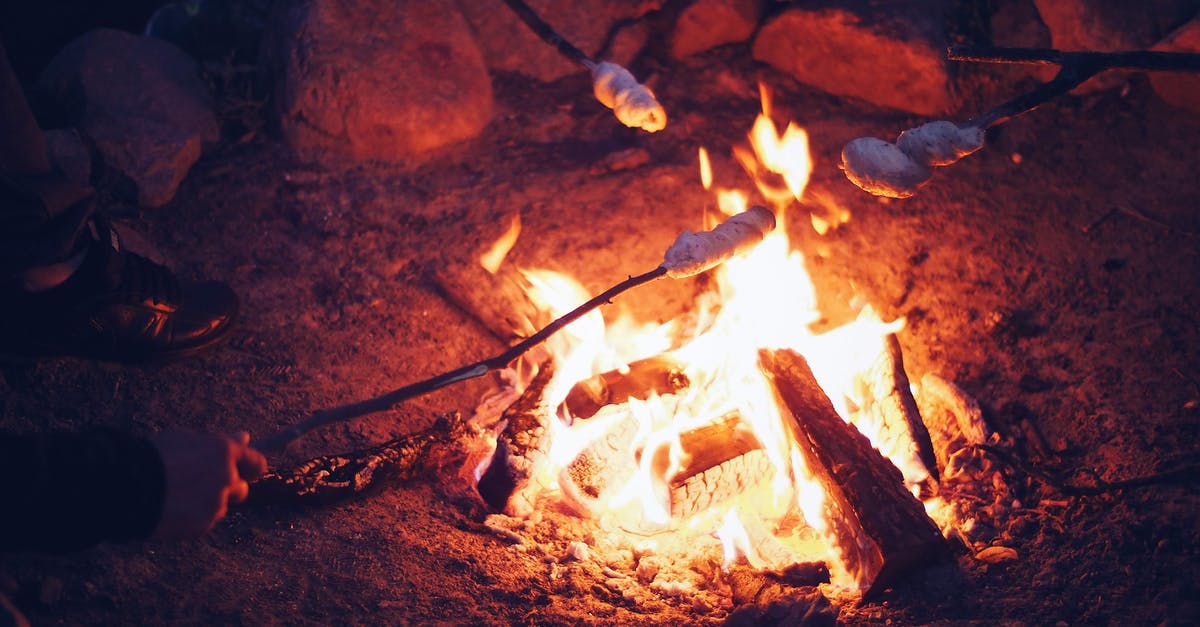 How can I control the heat when cooking on a campfire?  - Barbecue on Bonfire