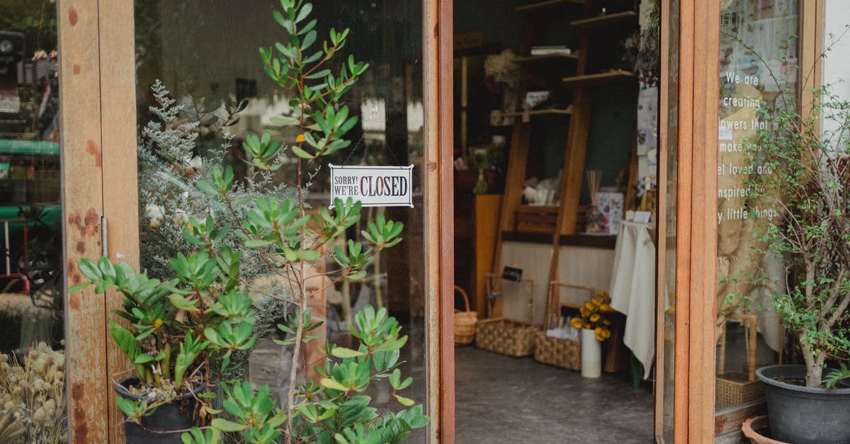 How can I cultivate and store yeast? - Exterior of contemporary floral store with glass walls and opened door decorated with verdant potted plants in daylight