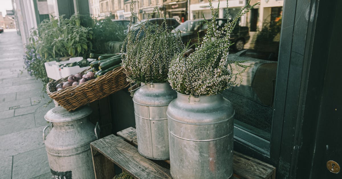 How can I decorate jelly - Decorative metal cans with small flowers placed on walkway on wooden box near window of modern house on street in city