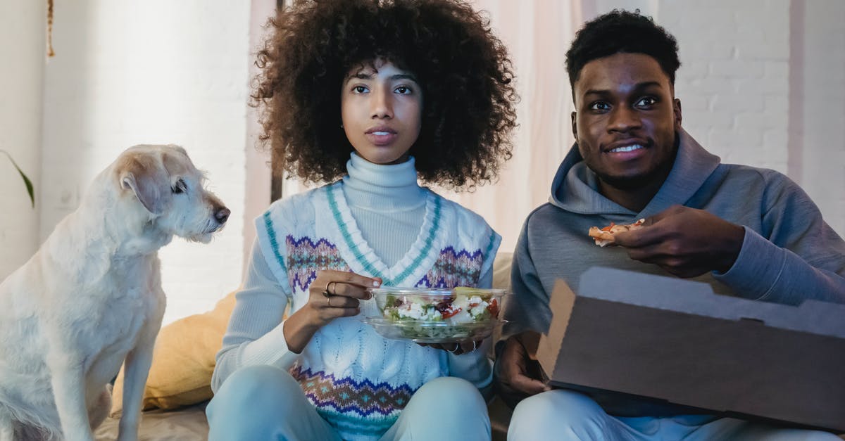 How can I get a takeaway style pizza base? - Concentrated young African American couple with curly hairs in casual outfits eating takeaway salad and pizza while watching TV sitting on sofa near cute purebred dog