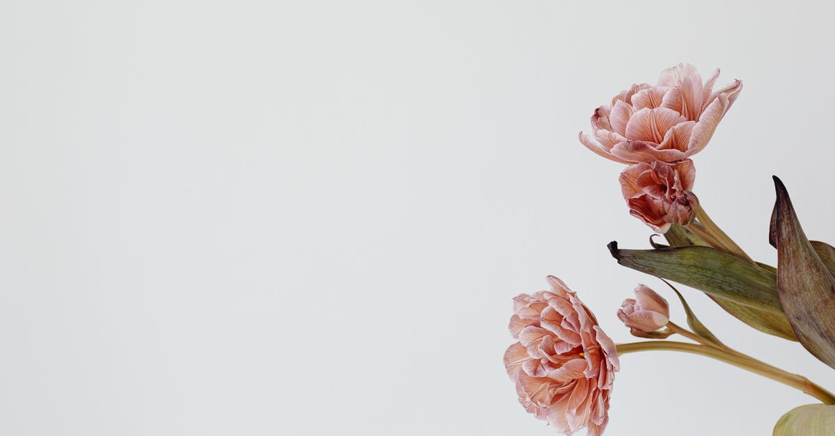 How can I keep greengage jam green rather than orangey brown? - Pink Flowers and Bud with Brown Leaf How can I keep greengage jam green rather than orangey brown? - Pink Flowers and Bud with Brown Leaf