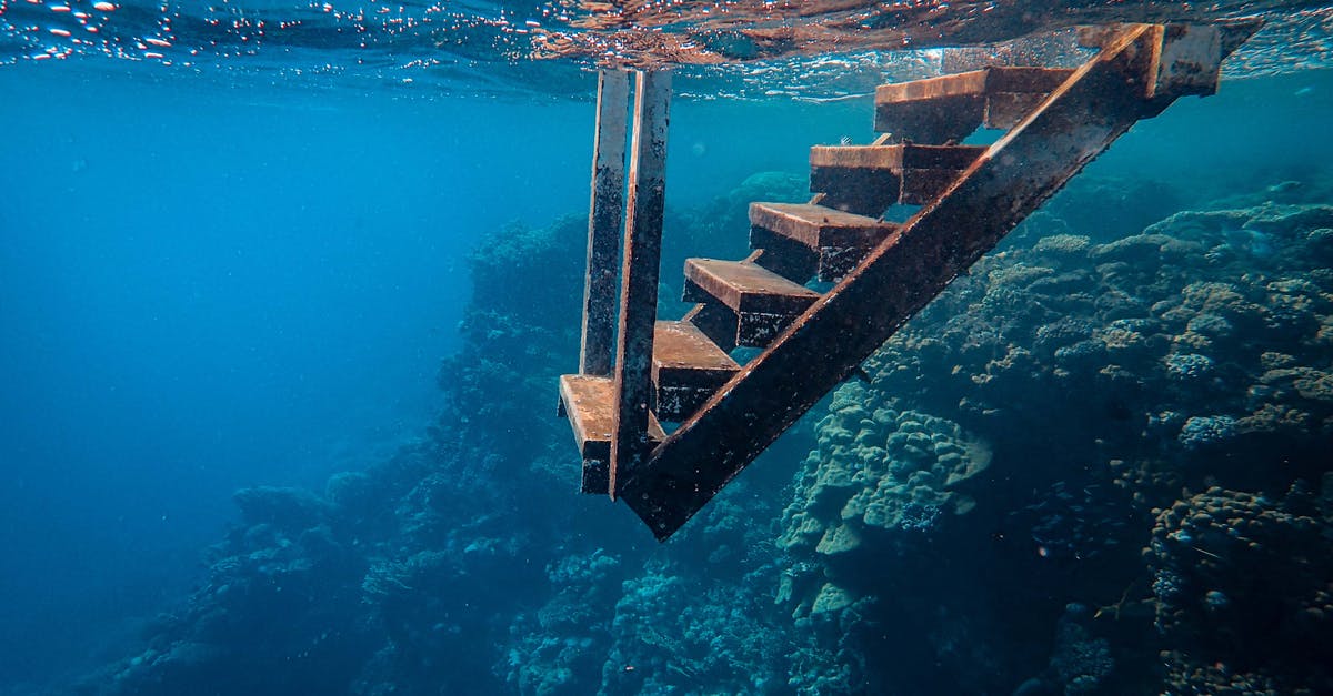 How can I keep tomatillos submerged in water during boiling? - View Of Wooden Steps Taken Underwater