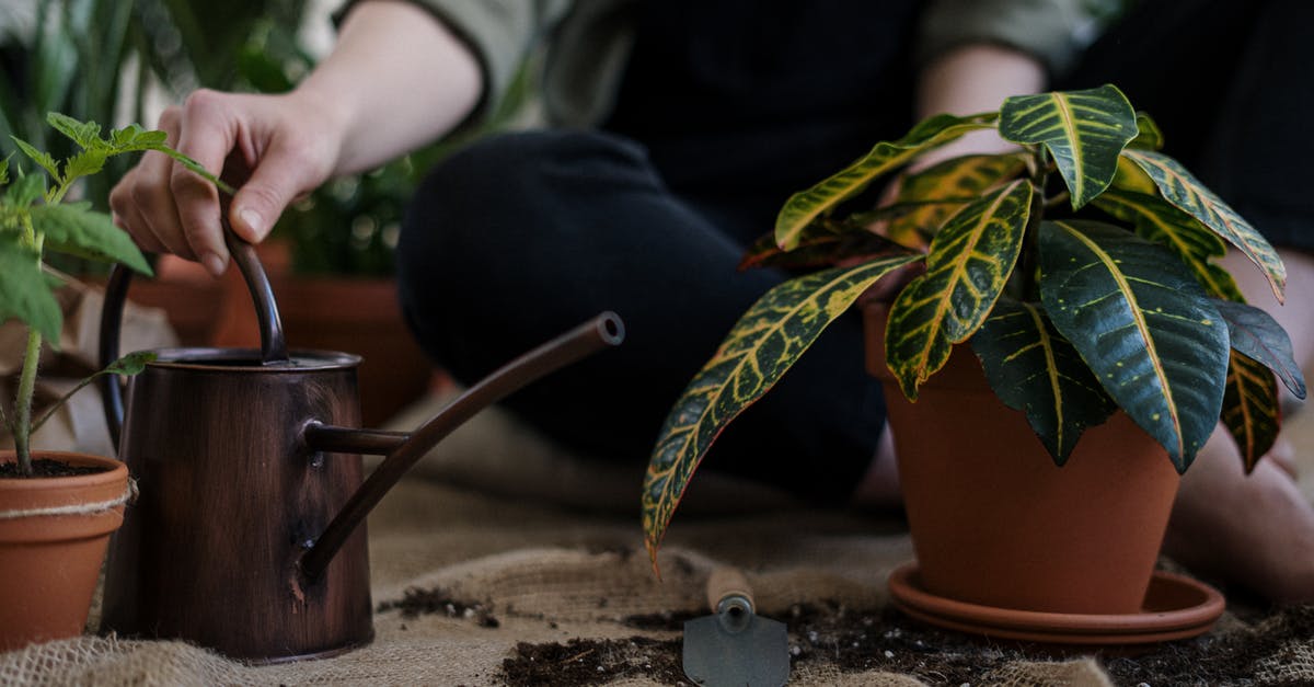 How can I make herbs easy to remove from a Crock-Pot? - Person Holding Brown Ceramic Mug With Green Plant