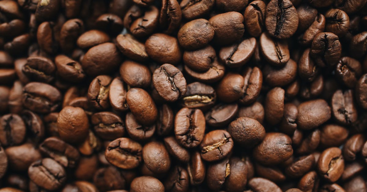 How can I preserve Winged Beans until my next batch matures? - Brown Coffee Beans in Close Up Photography