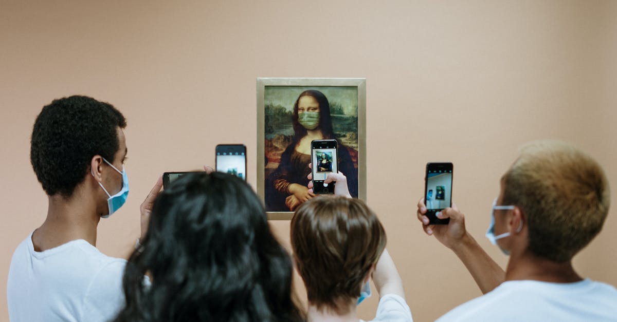 How can I prove ganache is safe at room temperature? - People Taking Picture of A Painting Of Mona LIsa With Face Mask