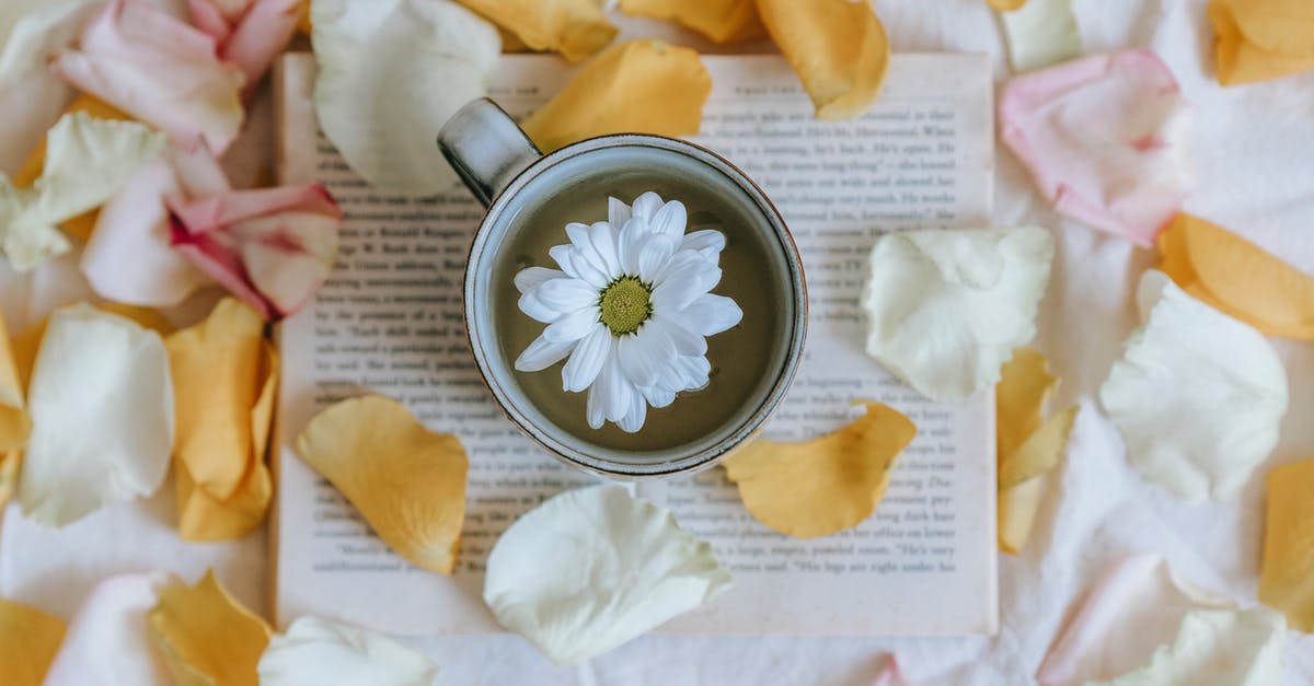 How can I remove burnt smell from white sauce? - Blossoming Chrysanthemum in cup of green tea on textbook