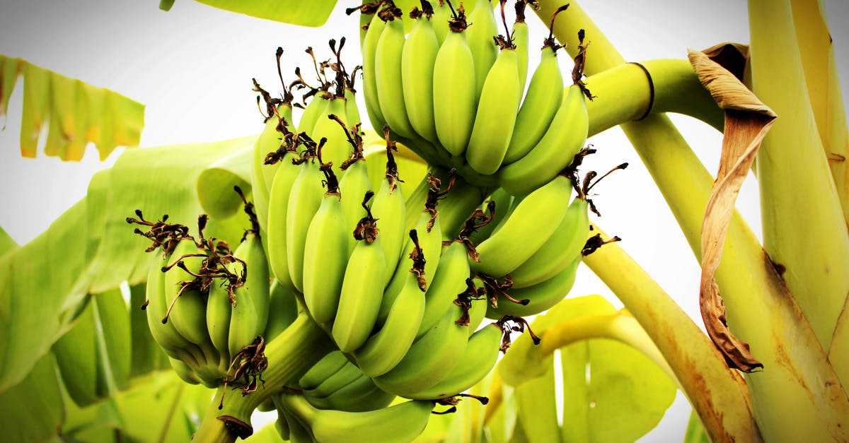 How can I speed up banana ripening? - Green Banana Tree