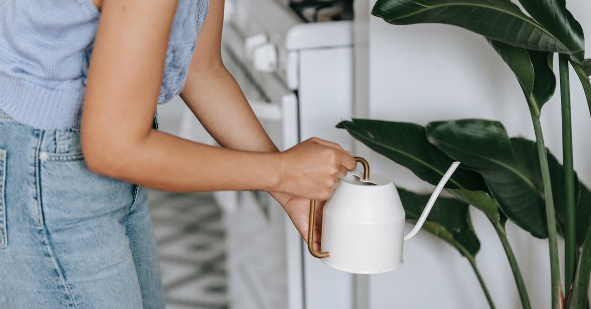 How can I use my crock pot for a stove top soup? - Crop unrecognizable female pouring water from watering can on potted plant with green leaves while standing in room with stove