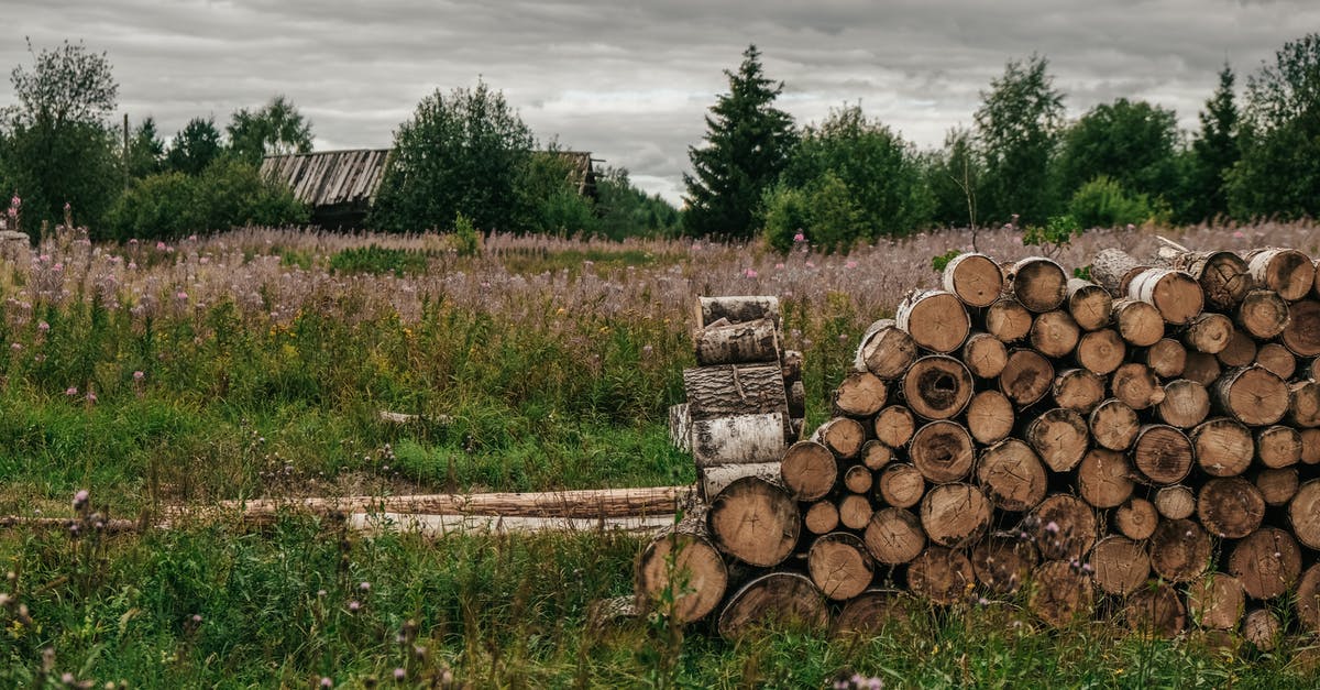 How do I cut an oreo? - Brown Wooden Log on Green Grass Field Under White Cloudy Sky