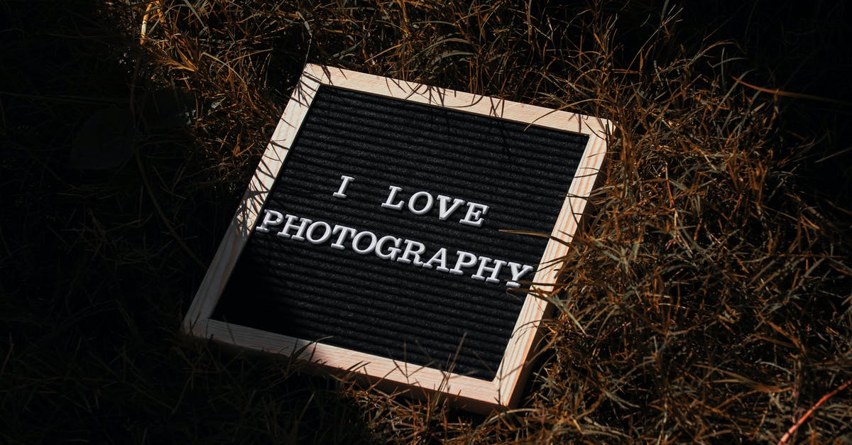 How do I dehydrate Ganoderma Applanatum? - Black and White Wooden Welcome to the Beach Signage