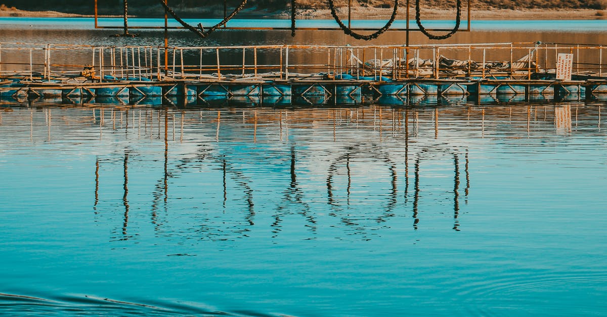 How do I dehydrate Ganoderma Applanatum? - Reflection of I Love You Signage On the Body of Water 