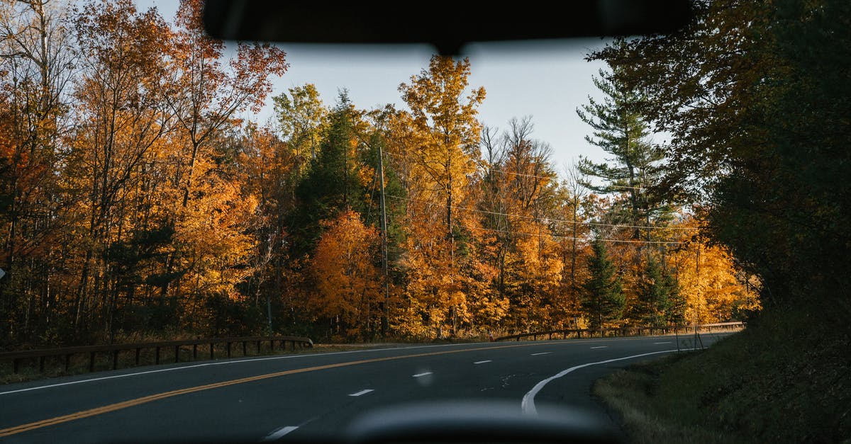 How do I ensure that I cook scallops all the way through? - Modern car driving along curvy asphalt road amidst lush autumn trees in countryside on sunny day